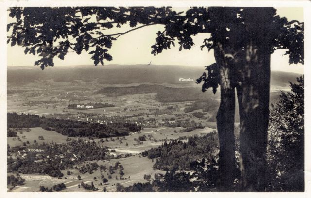 Postkarte von Otelfingen: Panoramablick von der Lägern um 1920