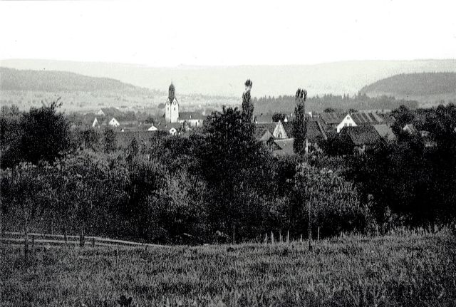 Postkarte von Otelfingen: Dorfansicht 1950