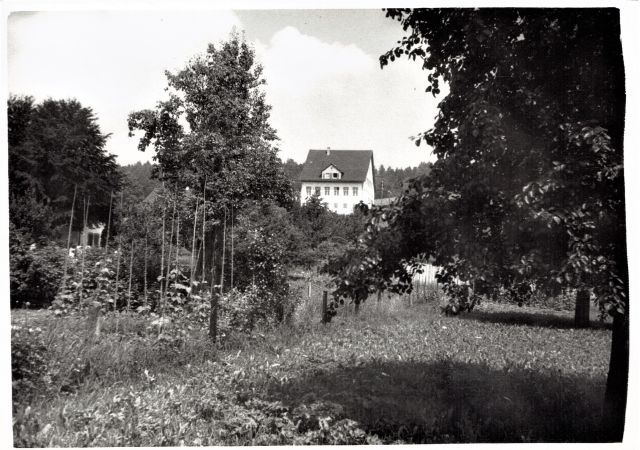 Postkarte von Otelfingen: Sekundarschulhaus Bühl 1953