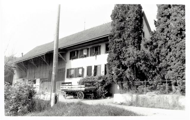 Postkarte von Otelfingen: Bächlenstrasse 42 1961