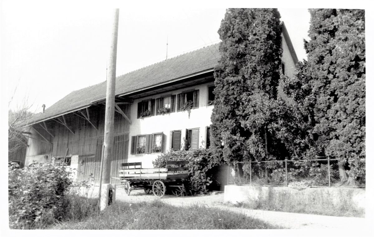 Ansichtskarte von Otelfingen: Bächlenstrasse 42 | 1961