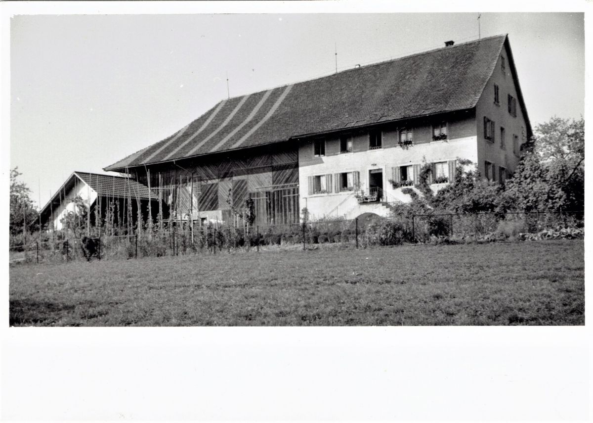 Ansichtskarte von Otelfingen: Steinhofweg 4 | um 1950