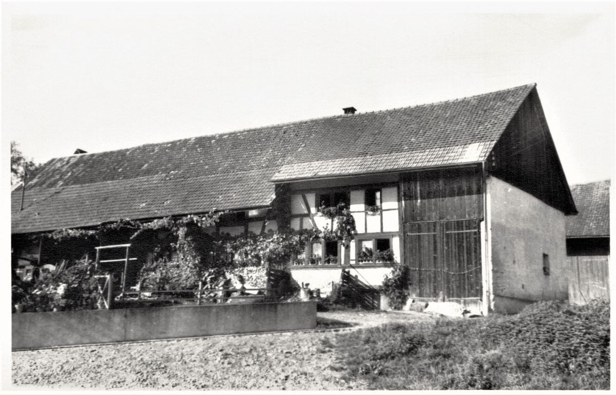 Ansichtskarte von Otelfingen: Oberdorfstrasse 26 | Bergstrasse 3 | 1966
