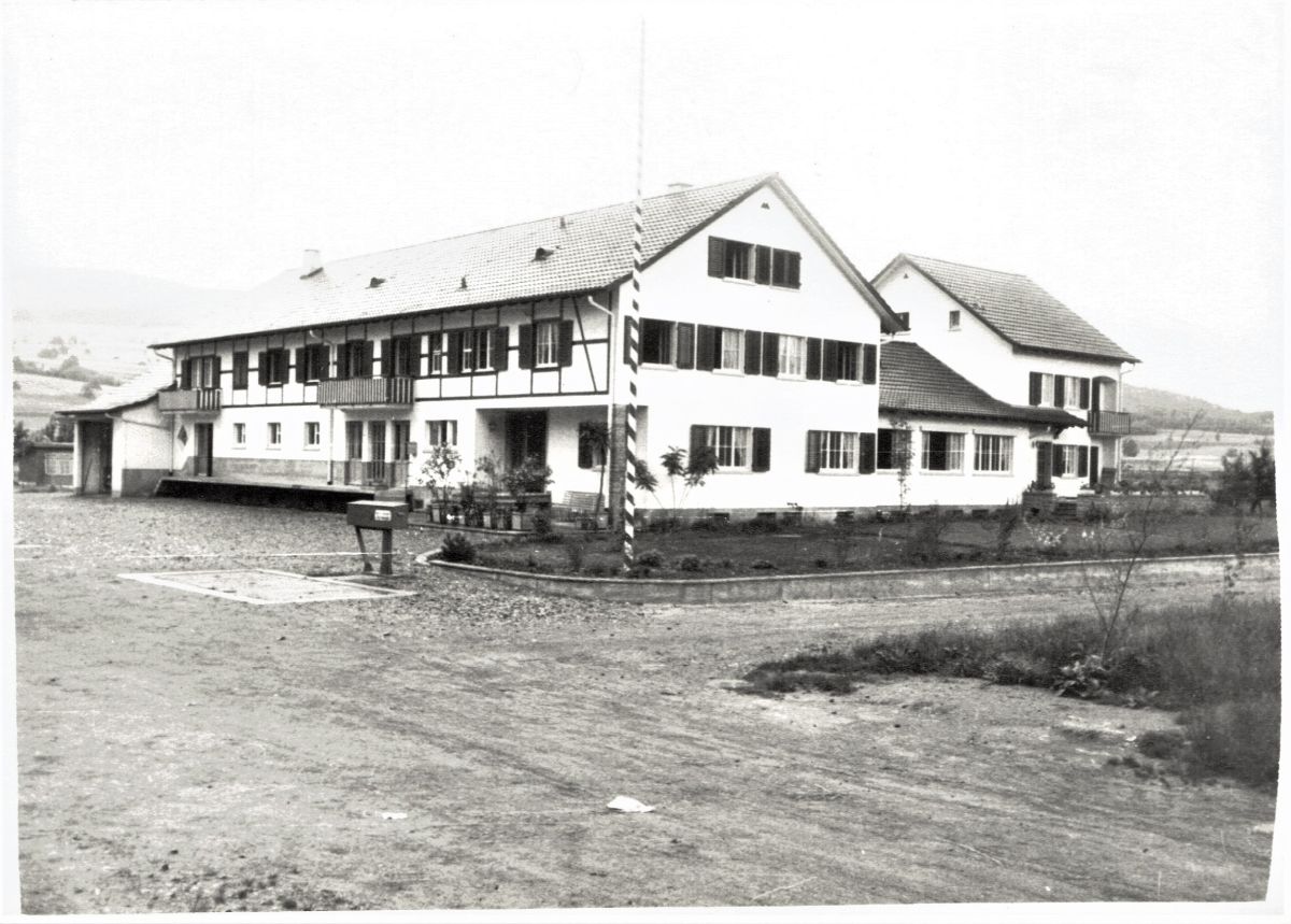 Ansichtskarte von Otelfingen: Neue Riedstrasse 80-88 | 1953