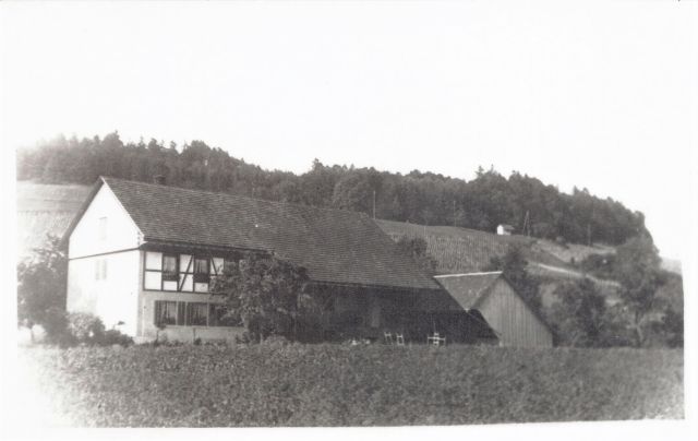 Postkarte von Otelfingen: Landstrasse 49 um 1955