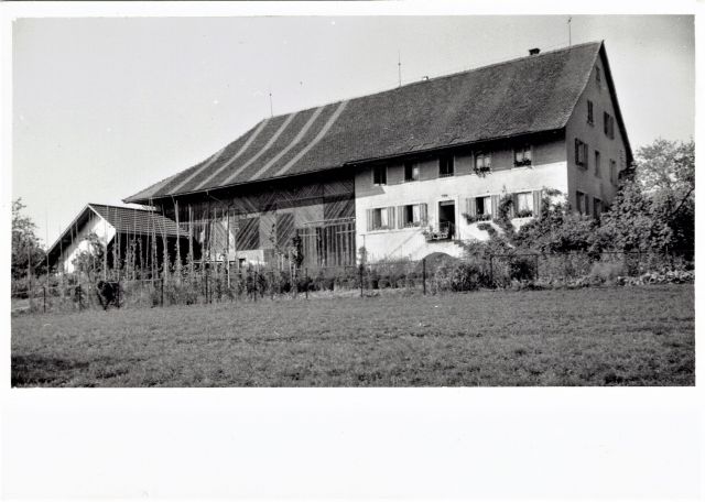 Postkarte von Otelfingen: Steinhofweg 4 um 1950