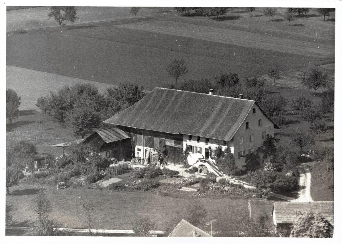 Ansichtskarte von Otelfingen: Steinhofweg 4 | 1965